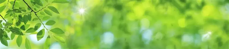 採用担当メッセージ